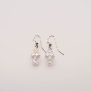 Crystal Clear Sparkle Drop Earrings